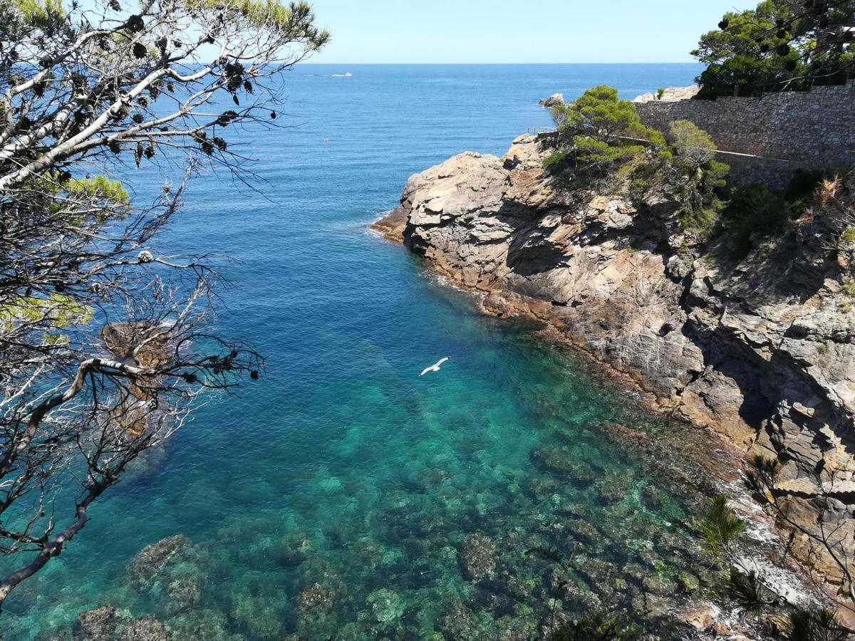 Domus Aurea Apartment Palamos Luaran gambar